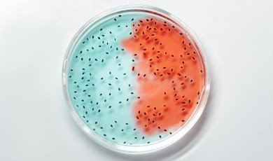 Principales innovaciones que están impulsando la industria biotecnológica